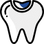 FILLINGS icon