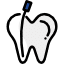 ROOT CANALS Icon